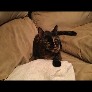 Meet your Posher, Crystal